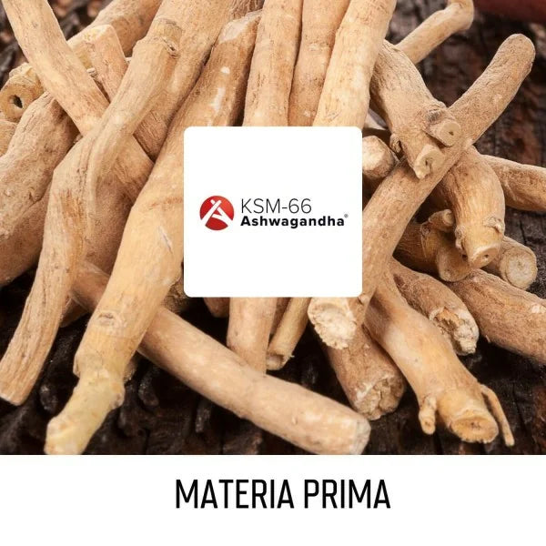 FULLGAS Ashwagandha ksm-66® (300mg) - 60 cápsulas