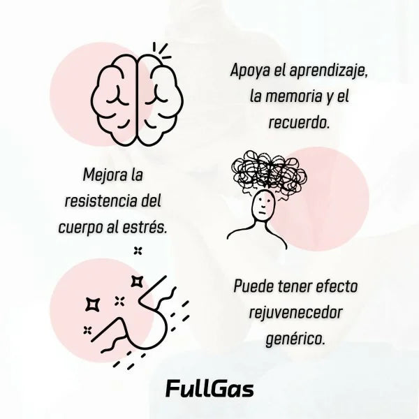 FULLGAS Ashwagandha ksm-66® (300mg) - 60 cápsulas