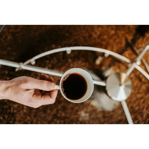 CAFÉ ESPECIALIDAD  en grano- cumbres de nariño colombia - 250g