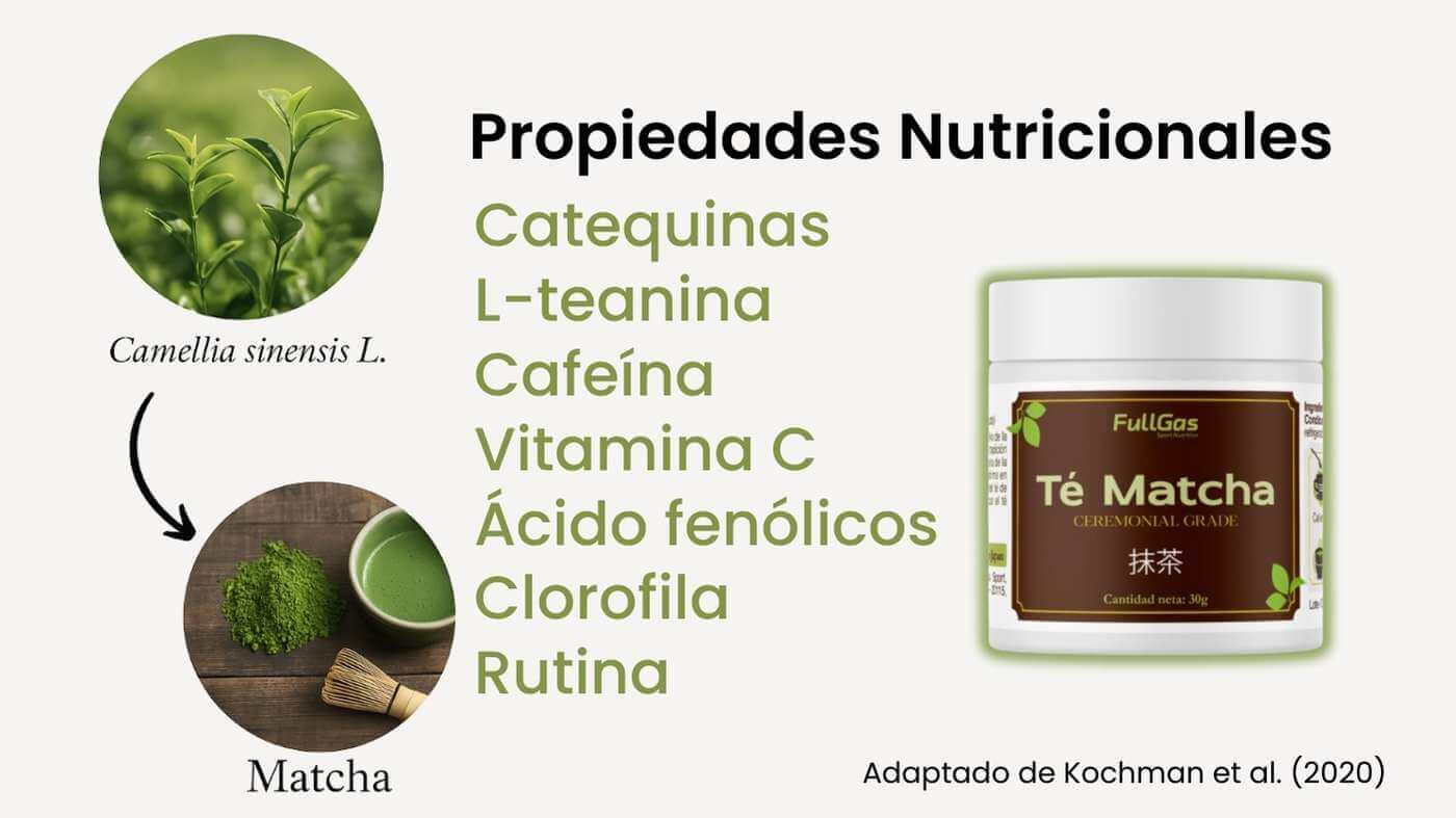 TÉ MATCHA ceremonial grade 30g