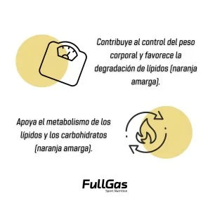 FULLGAS THERMO SYNEPHRINE (p-sinefrina 30mg) - 60 cáps